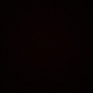 Meet your Posher, Sophie